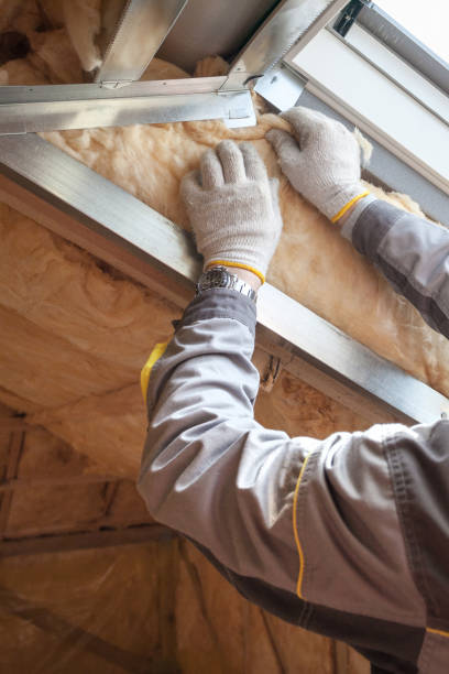 Best Local Insulation Services  in Tobaccoville, NC