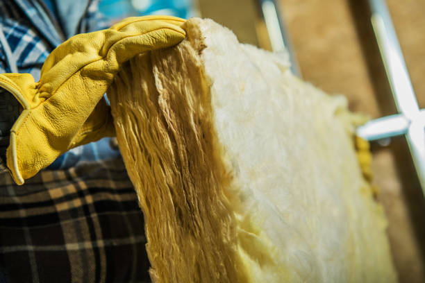 Best Insulation Inspection Services  in Tobaccoville, NC
