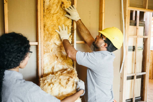 Best Insulation Replacement Services  in Tobaccoville, NC