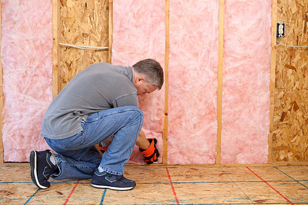 Best Wall Insulation Contractor  in Tobaccoville, NC